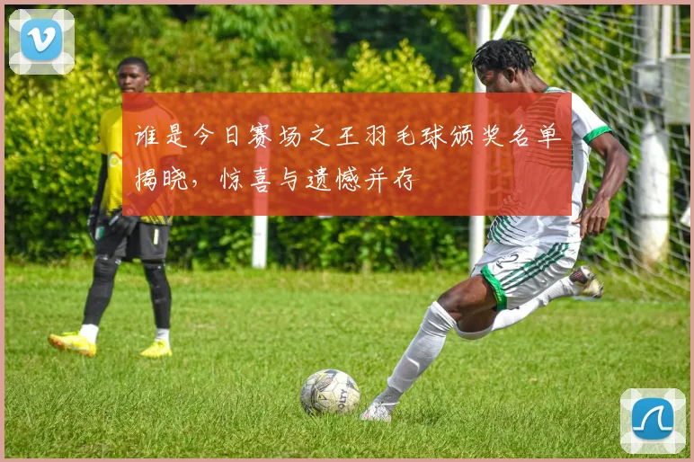 谁是今日赛场之王羽毛球颁奖名单揭晓，惊喜与遗憾并存